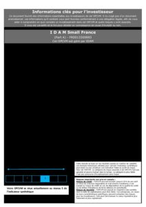 DICI-Part-A-IDAM-Small-France-pdf-212x300