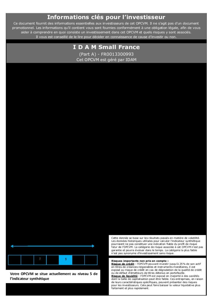 DICI-Part-A-IDAM-Small-France-pdf-724x1024