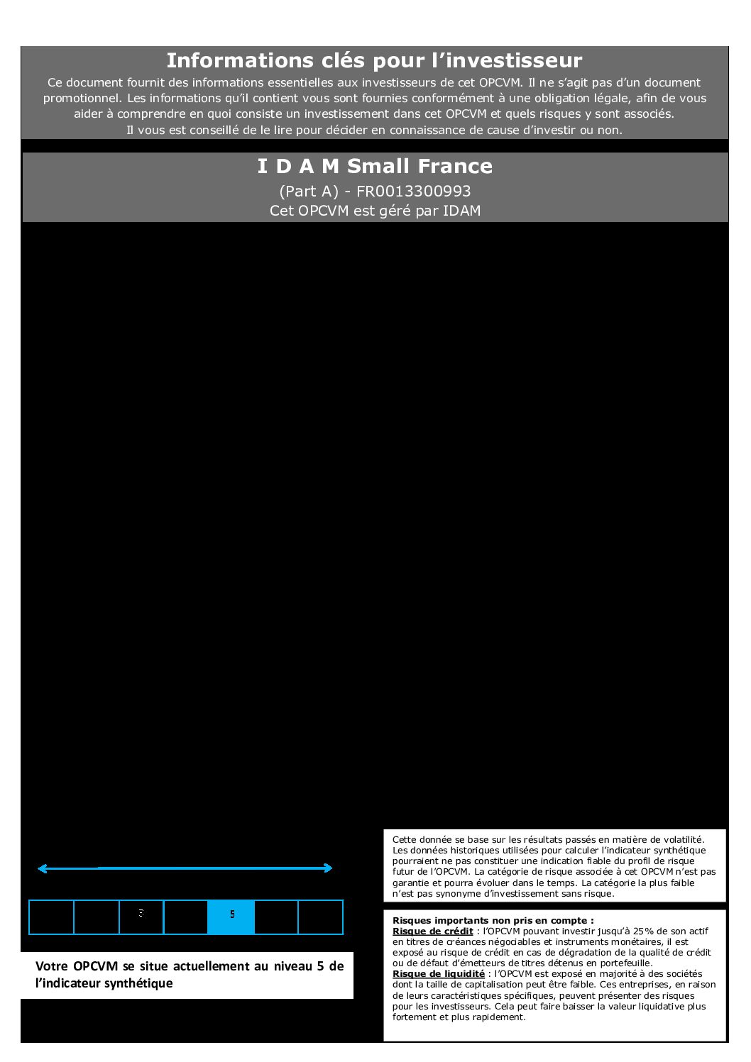 DICI-Part-A-IDAM-Small-France-pdf