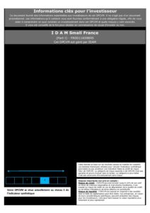 DICI-Part-I-IDAM-Small-France-2-pdf-212x300