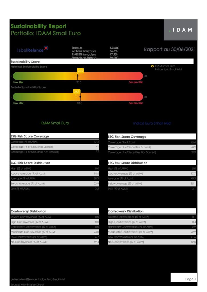 IDAM-Small-Euro Sustainability-Factsheet-30-06-2021-pdf-725x1024