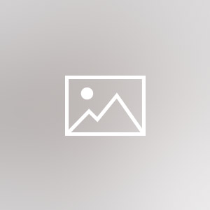 blog-dynamic-widgetkit-300x300