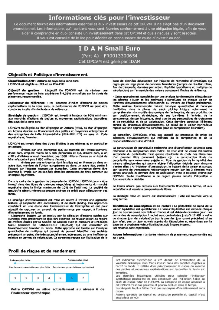 DICI-Part-A-IDAM-SMALL-EURO-1-pdf-724x1024
